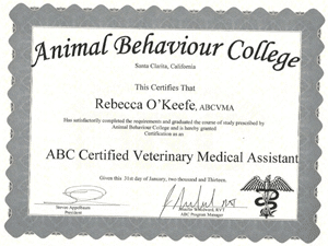 ABC Certified Veterinary Medical Assistant January 2013