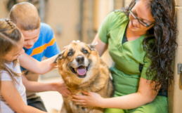 4 Reasons Why Shelter Dogs Are The Best