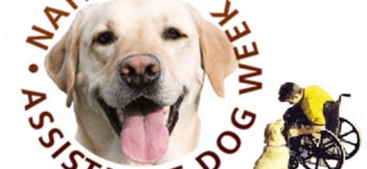 International Assistance Dog Week: August 5-11